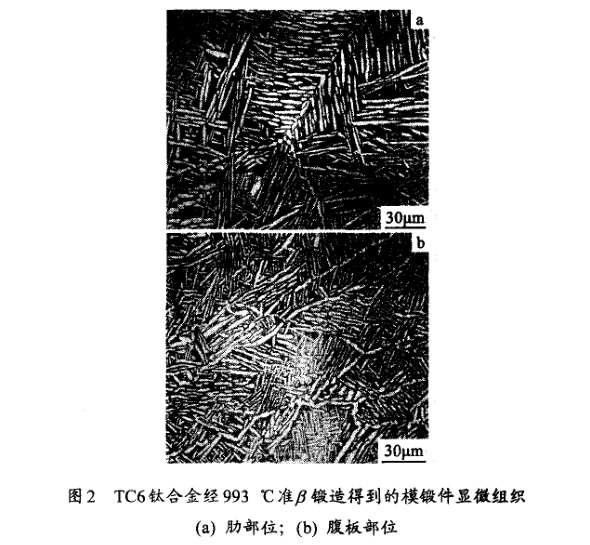 TC6鈦合金經(jīng)993℃準(zhǔn)β鍛造得到的模鍛件顯微組織(a) 肋部位;(b) 腹板部位 TC6鈦合金經(jīng)993℃準(zhǔn)β鍛造得到的模鍛件顯微組織(a) 肋部位;(b) 腹板部位