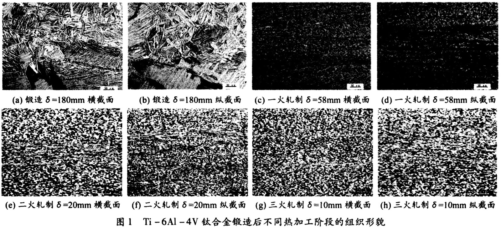 1687582847826592.jpg 未標題-3.jpg