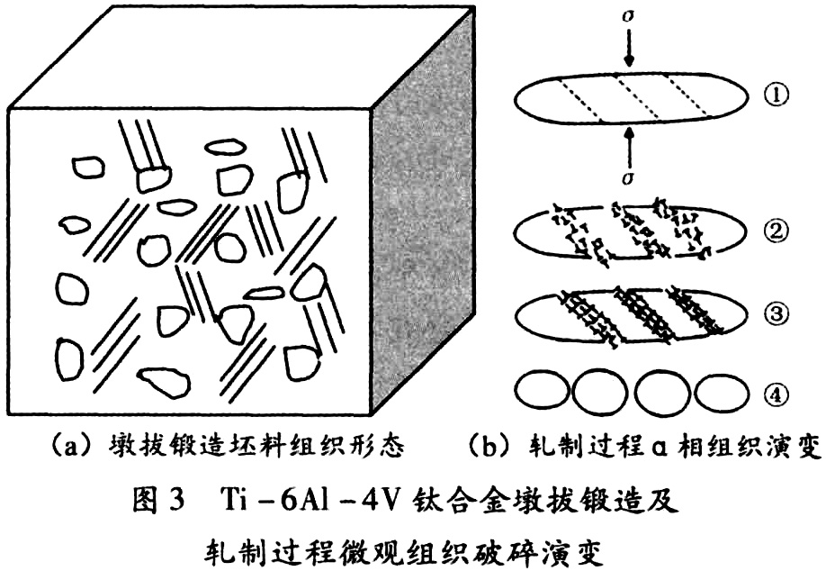 1687582878232771.jpg 未標題-6.jpg